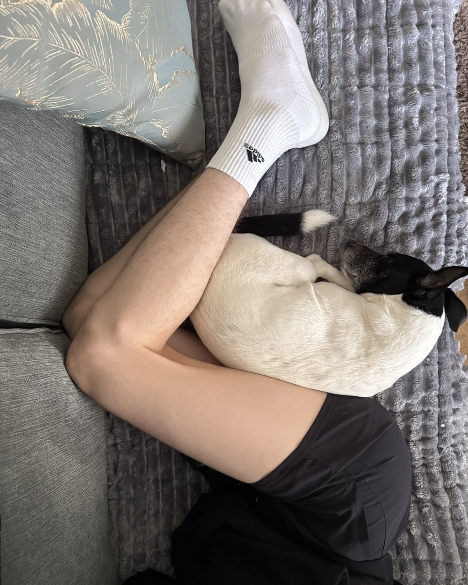 I love this little dog with all my heart