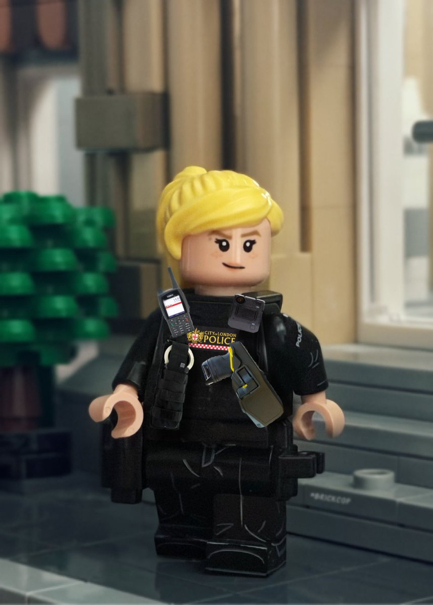 Brick Cop©️ tweet media