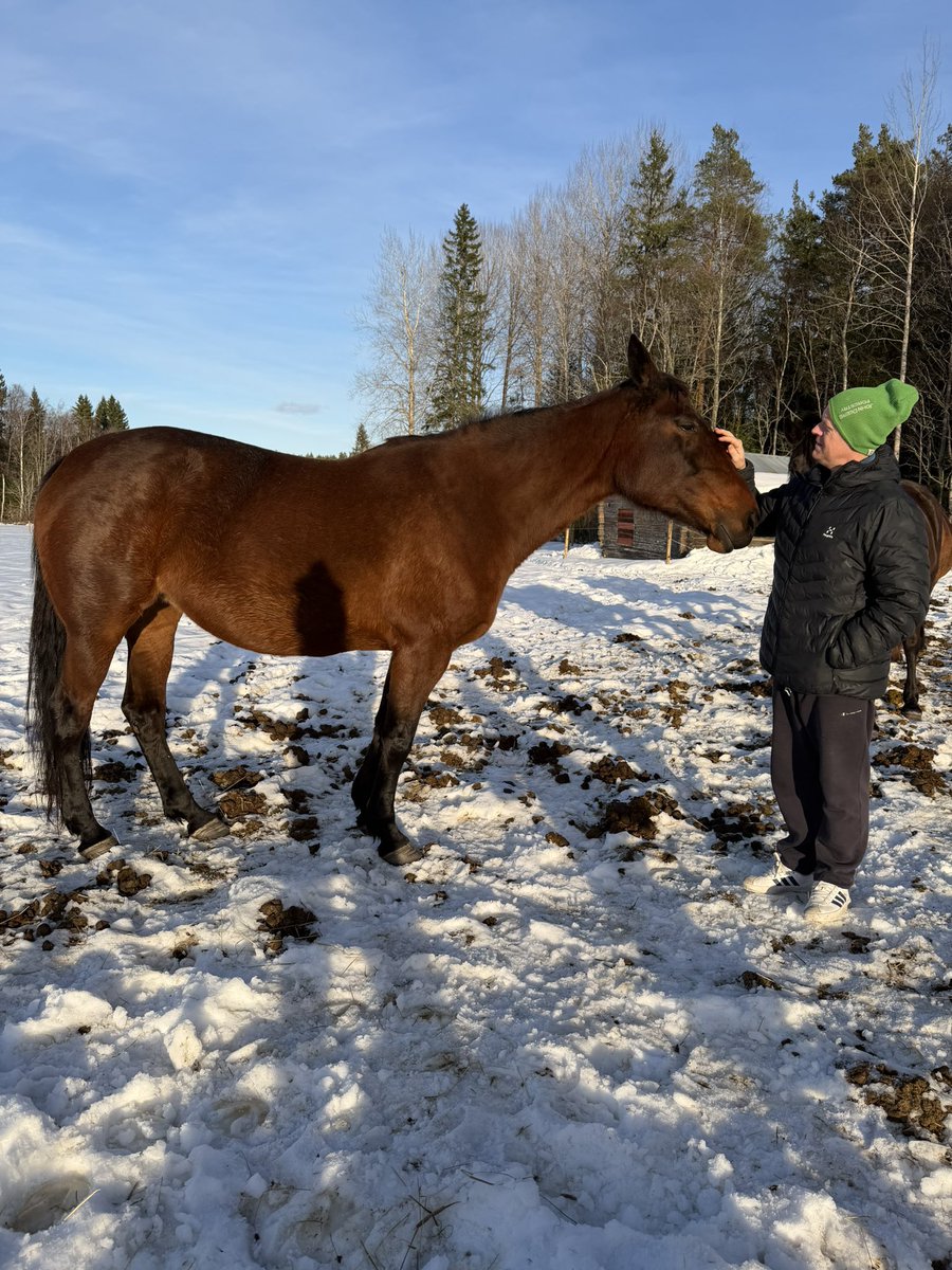 Emma Mattsson tweet media