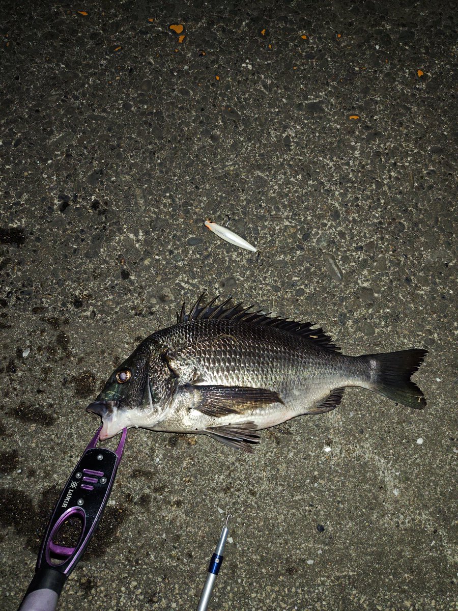 大野ゆうき (@ohnoyuki_tokyo) / Posts / X