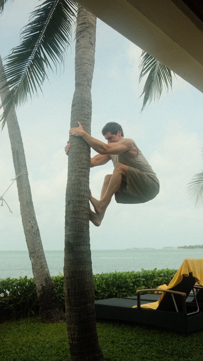 marcus ⭐ tweet media