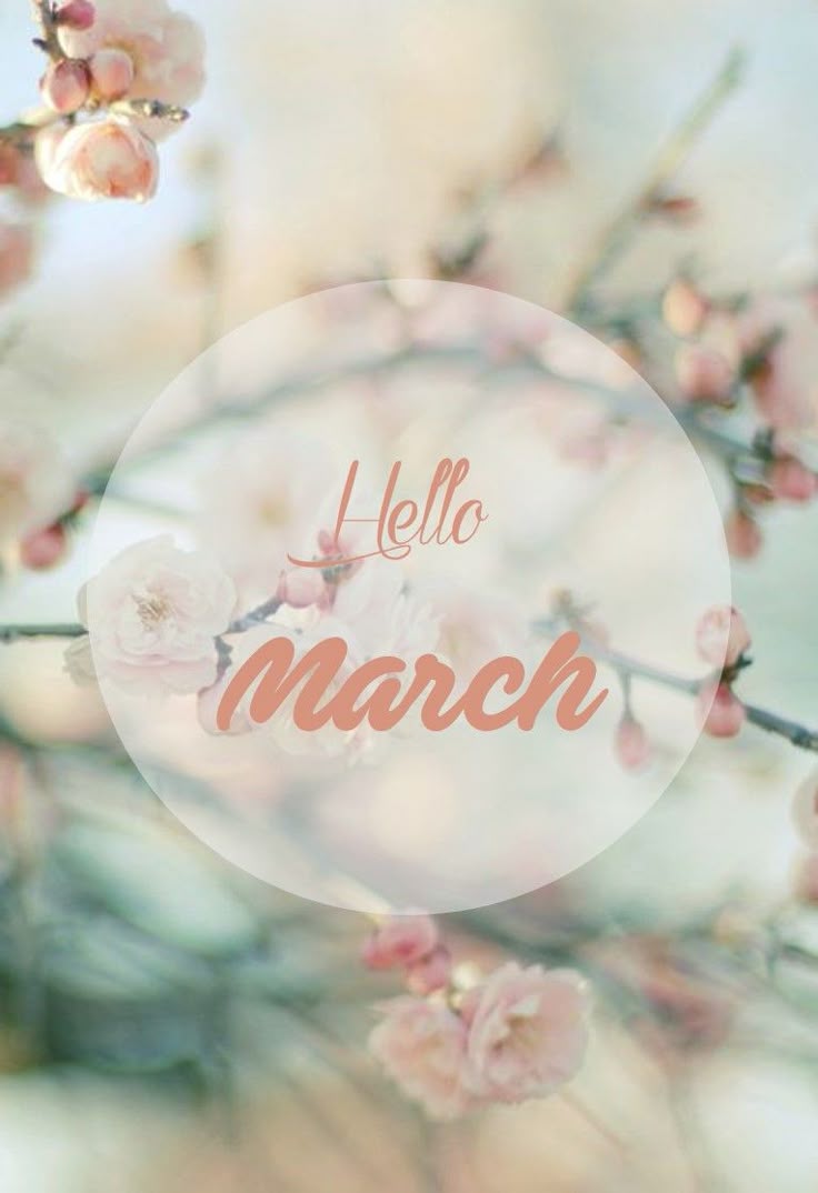 zmay_maya's tweet image. #HelloMarch 🍀🍀 #March1st 🍀🍀 #SundayVibes 🍀🍀 #Happiness 🍀🍀
🍀🍀🍀🍀🍀🍀🍀🍀🍀🍀🍀🍀🍀😊