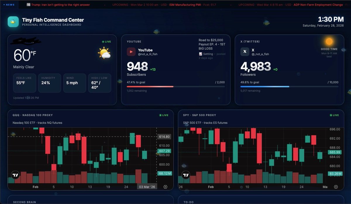 Lil Fish tweet media