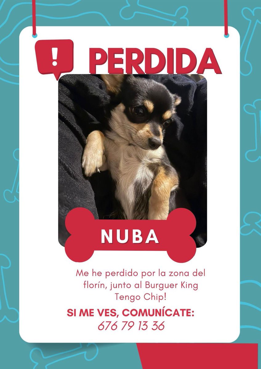 Mariquilla 🌟 tweet media