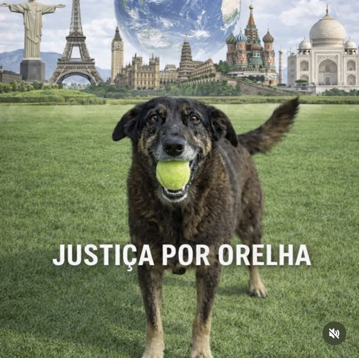 oiclaudissima_'s tweet photo. Vai para Floripa, evite esses hotéis:
 
- Majestic Palace 
- Hotel Florianópolis
- Rede Mar Canavieiras 
- Al Mare Florianópolis 

MPSC O BRASIL QUER JUSTIÇA https://t.co/2X9dKGMAyt