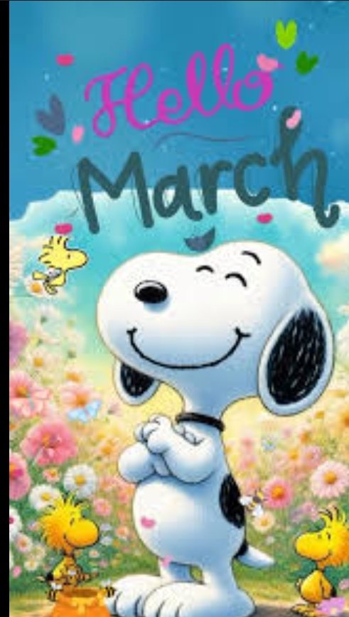 BelkyMo. tweet media