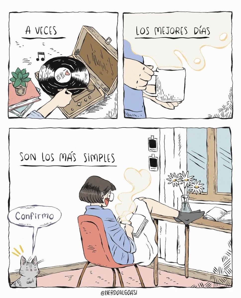 Cementerio De Libros tweet media