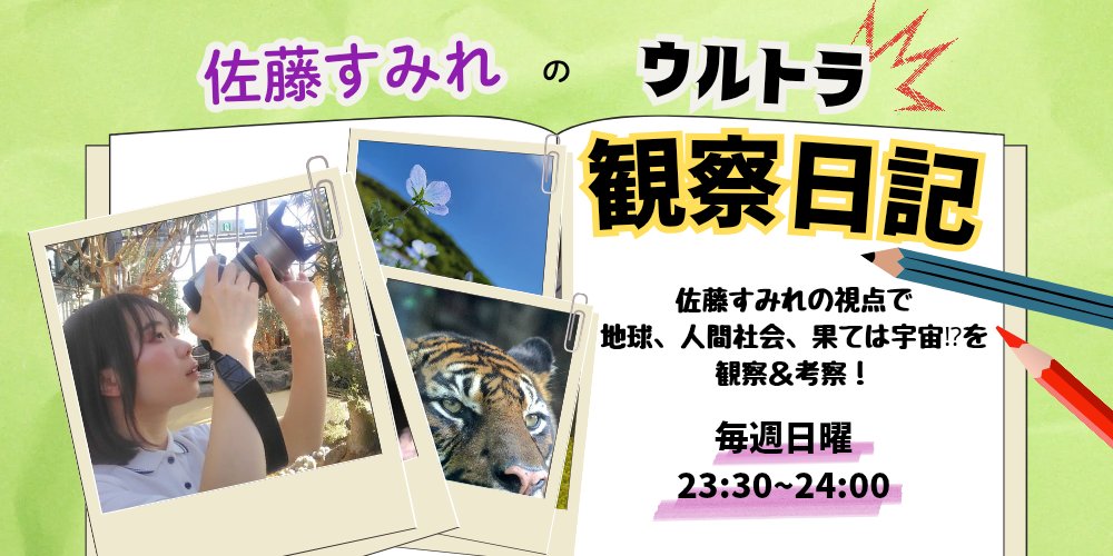 レディオバルーン新番組📻✨
『#佐藤すみれのウルトラ観察日記』
今夜23時30分より放送開始です！

初回から私の好きな世界をバーンと語っております🦎

初の一人喋りラジオ……緊張しました……
たどたどしいかと思いますが、聴いていただけるとうれしいです！！！
#レディオバルーン