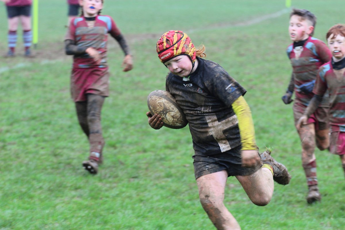 Paul Sample tweet media