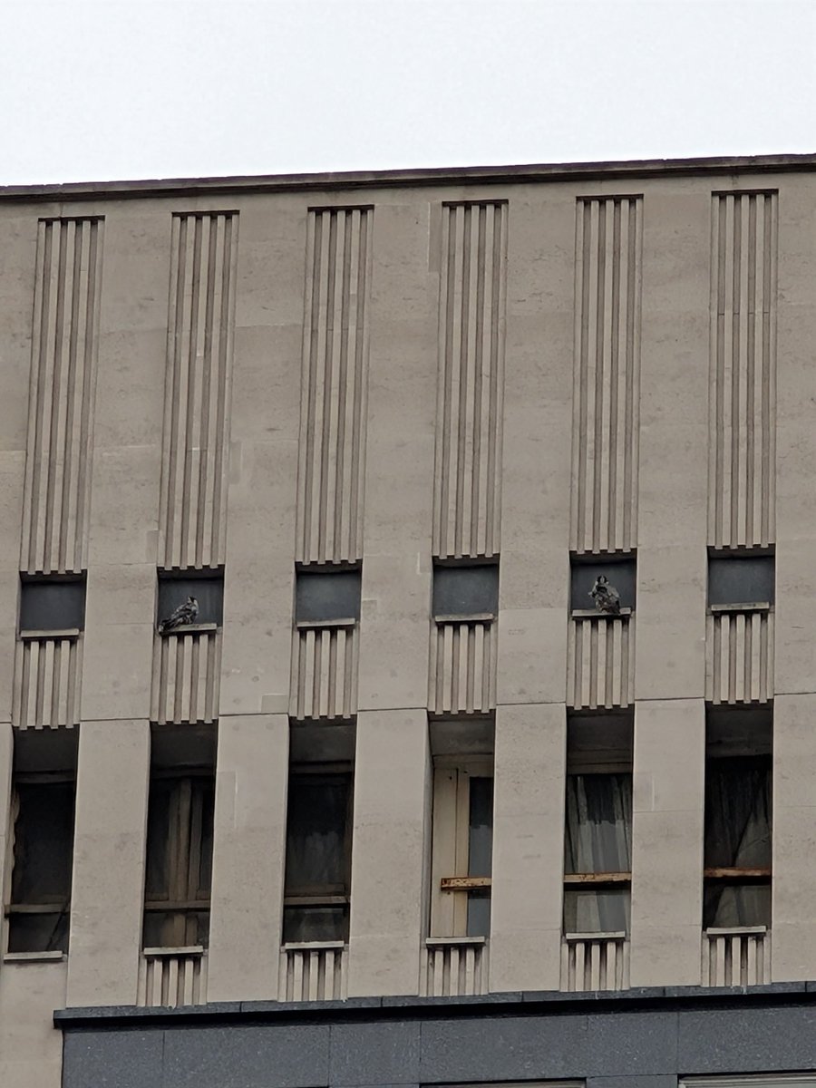 MTurnstall tweet media