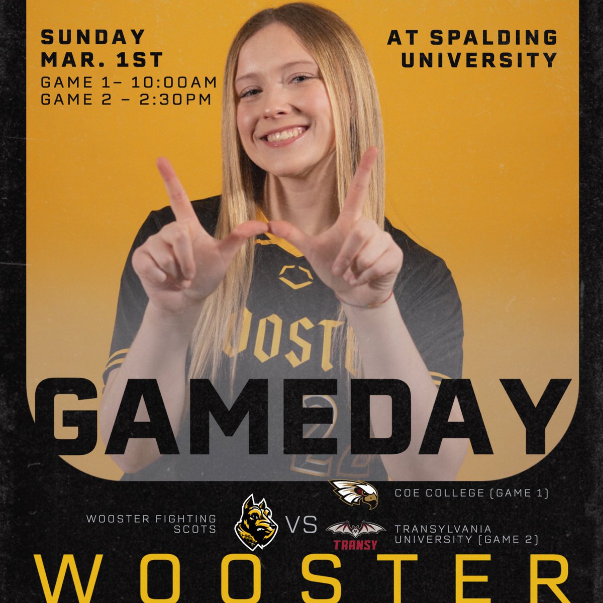 Wooster Softball tweet media