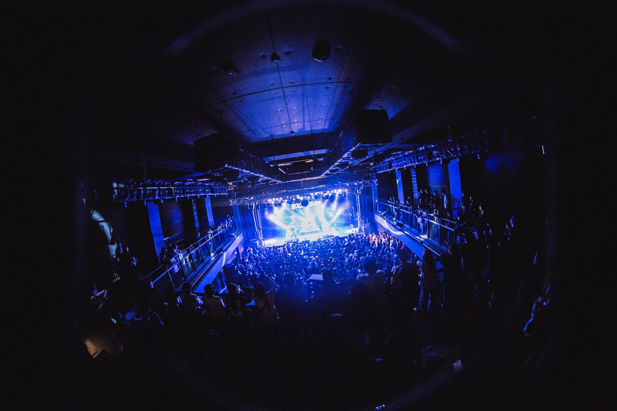 GORILLA HALL OSAKA tweet media