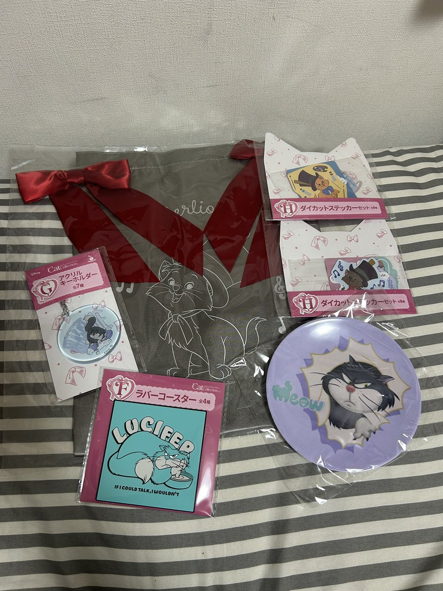 ぽーちゃんᙏ̤̫ tweet media