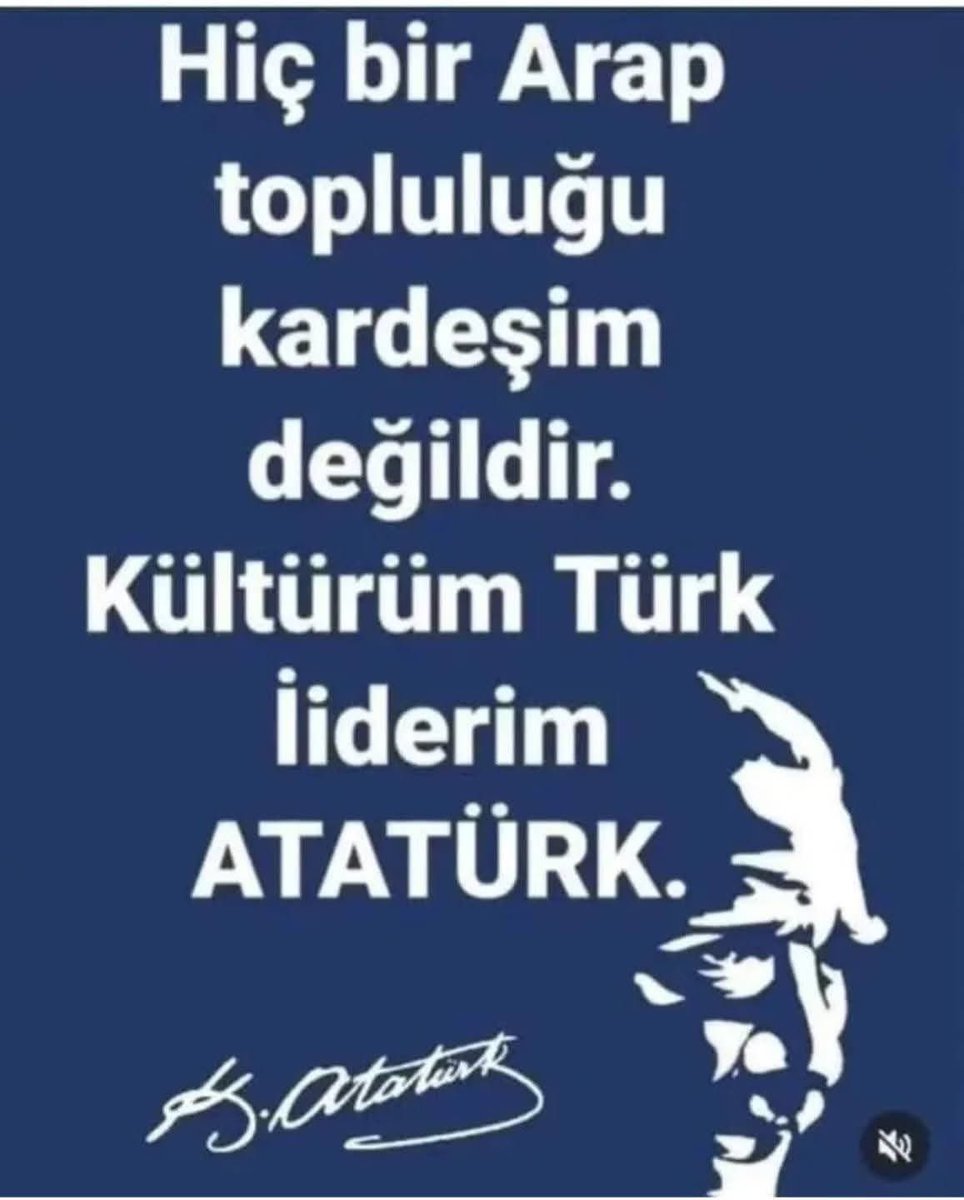 Osmanlı ordusunu İngilizlerle birlikte arkadan saldıranların torunları asla benim kardeşim olamaz. Arapların Türk düşmanı olduklarına inanıyorum. Milletin sırtından elde ettiğiniz gelirleri Araplara harcamaktan vazgeçip, kendi milletimize harcayın.