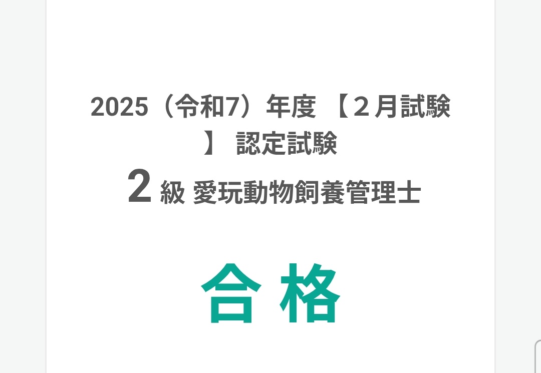 大豆🧩 tweet media