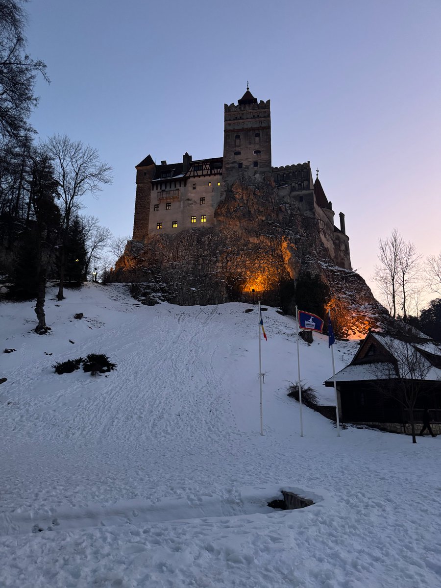 Sergiu Biriș tweet media