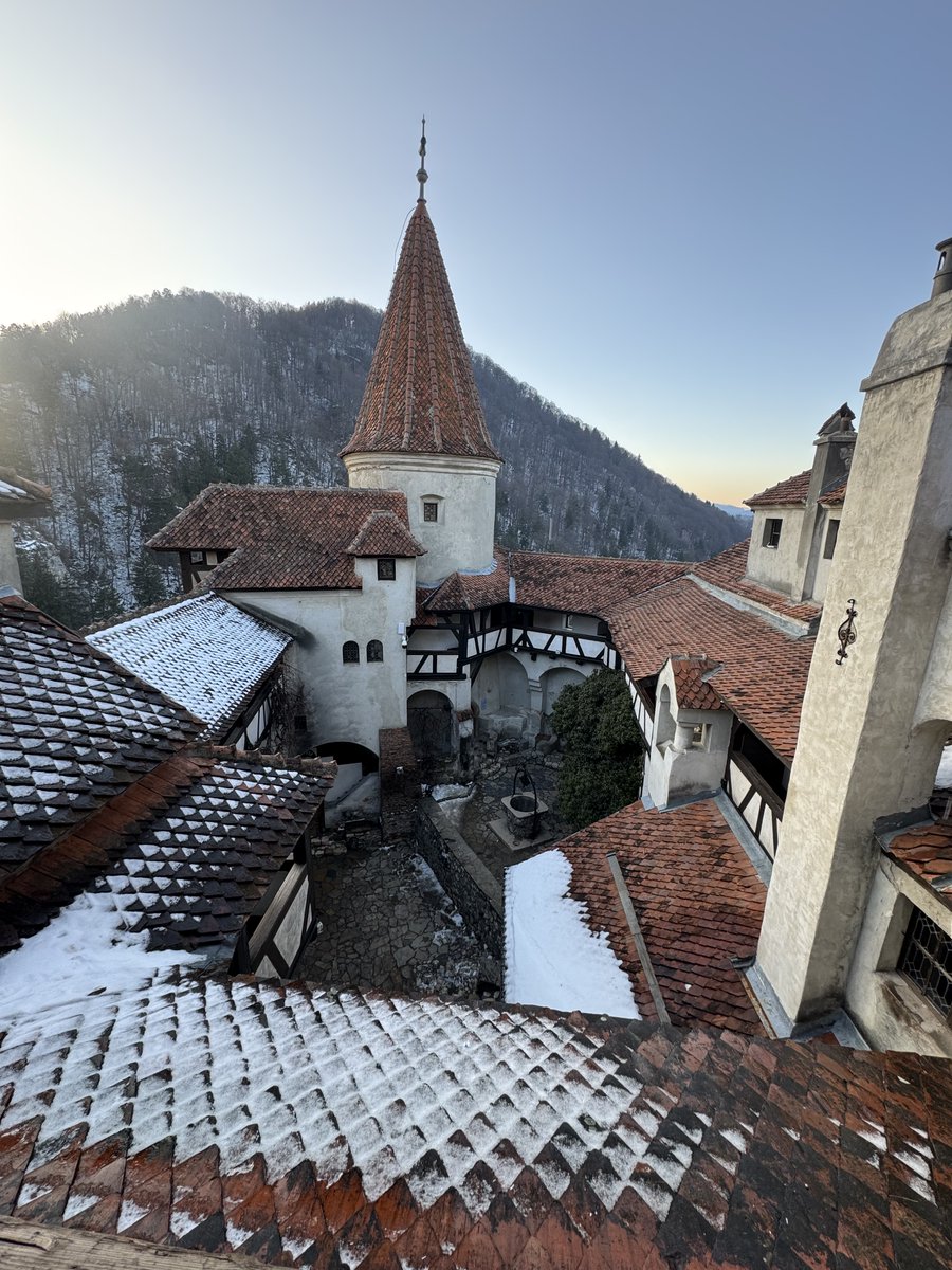 Sergiu Biriș tweet media