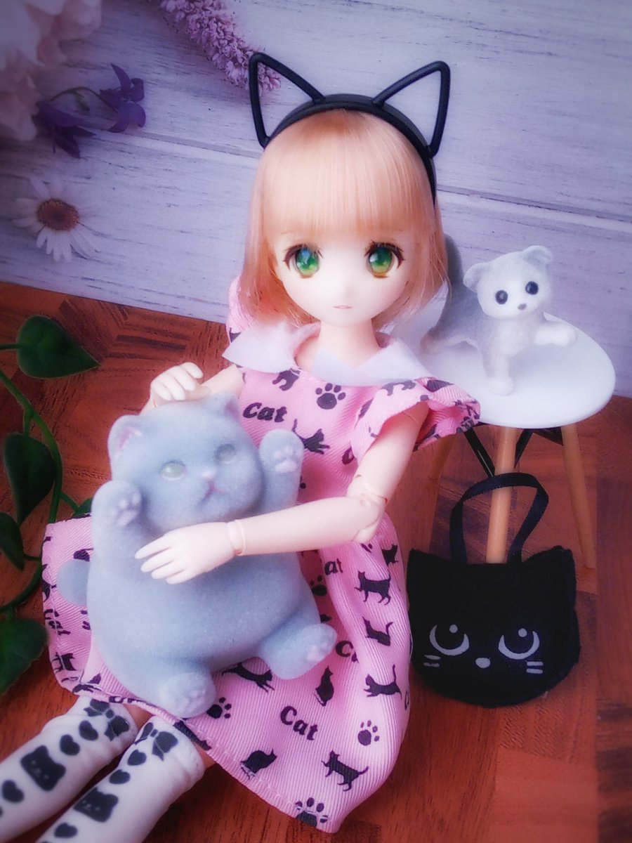 264a2e's tweet photo. #2月を画像4枚で振り返る
#尾櫃制服計画
猫の日があったのでやや猫成分多め。 https://t.co/jyNWrrEWze