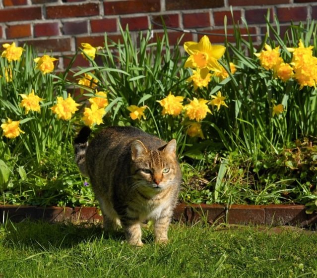 Happy St David's Day to all of my Welsh friends 🏴󠁧󠁢󠁷󠁬󠁳󠁿