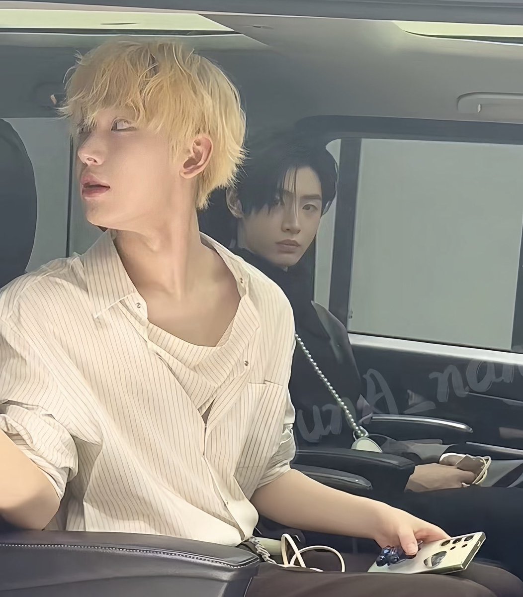 sunsunacervo's tweet image. #sunsun