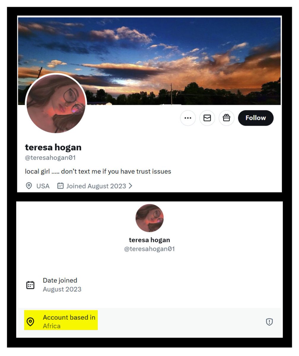 Catfish tweet media
