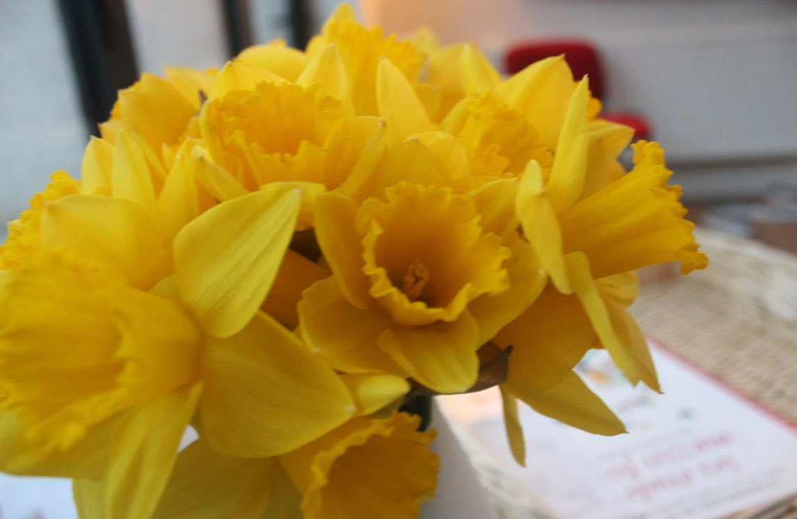 Lynne Reynolds 🏴󠁧󠁢󠁷󠁬󠁳󠁿 tweet media