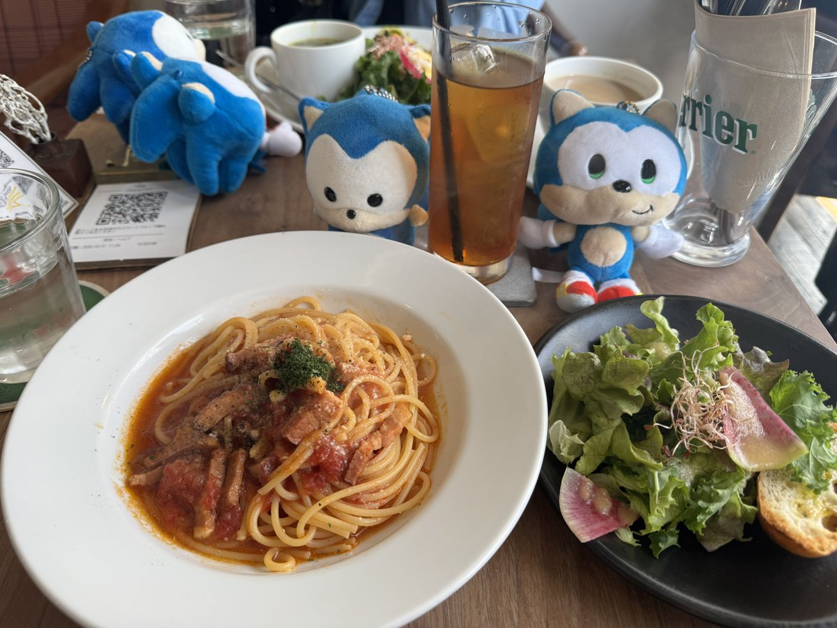 🩵🐢ねりー・ざ・ちりどっぐ💙🦔 tweet media