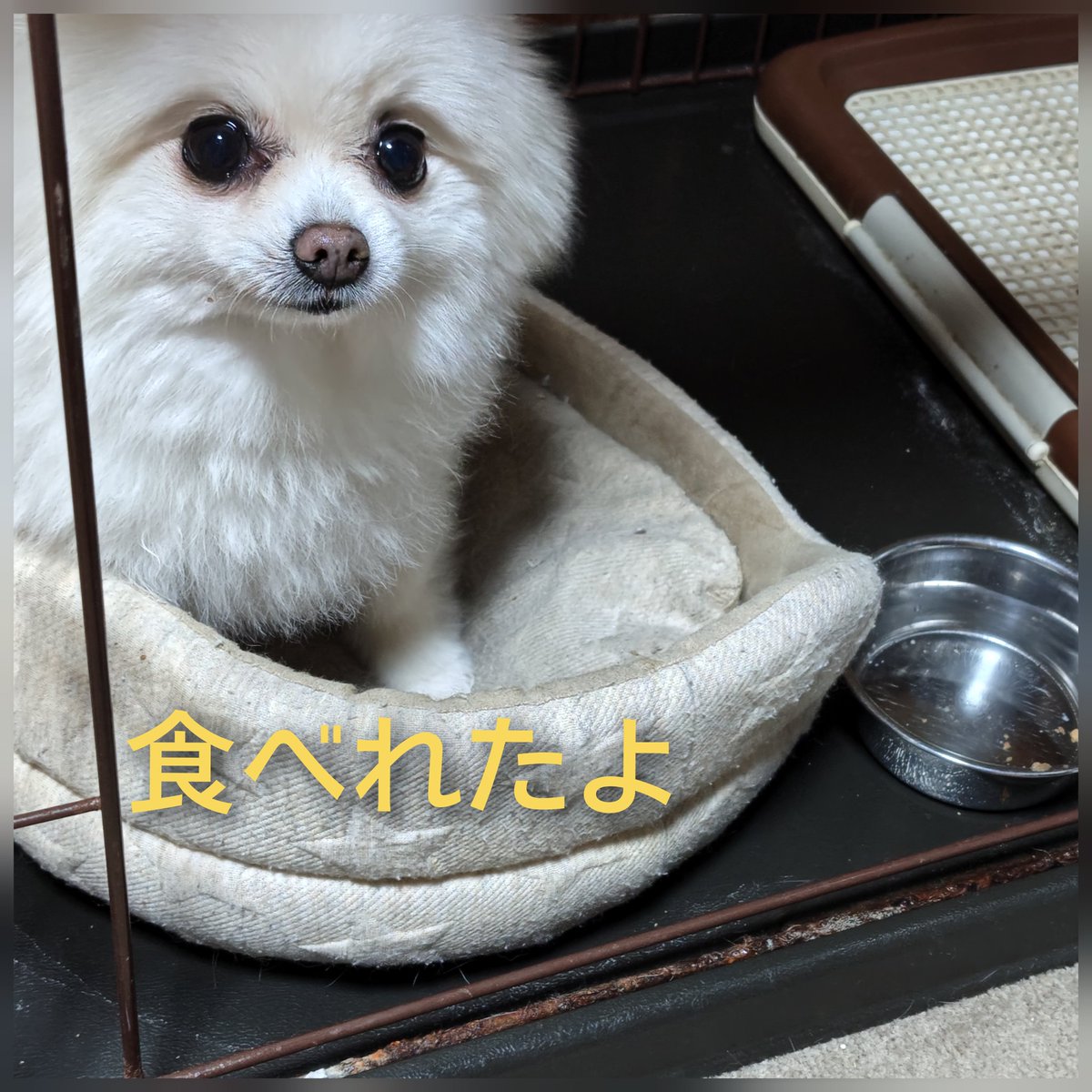 よかった 戻ったな