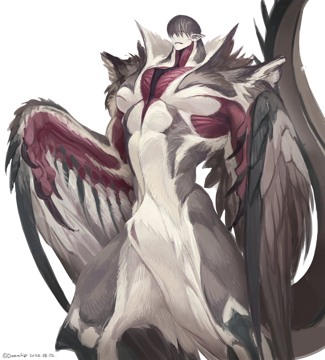 🍄굴🍄 tweet media