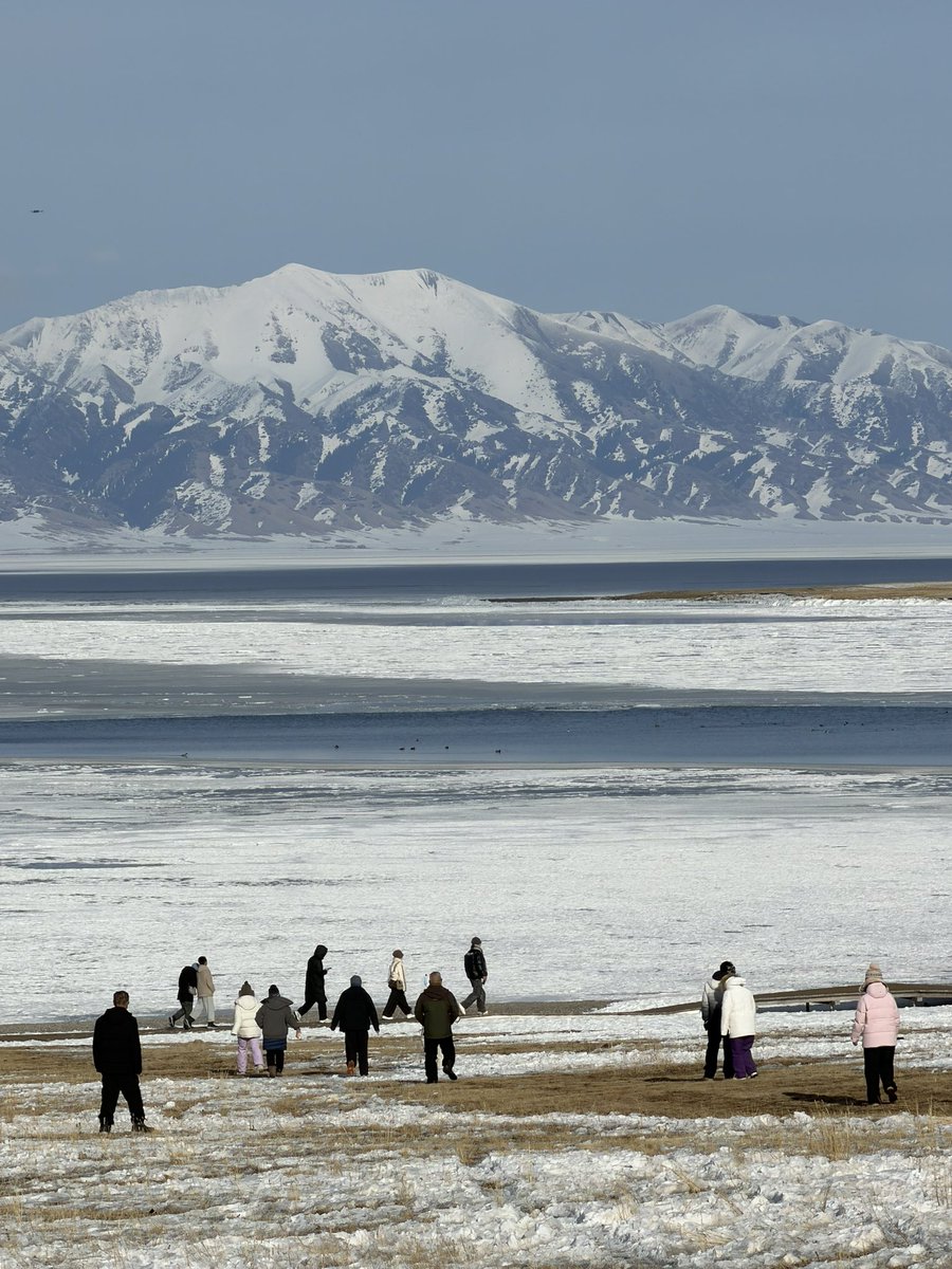 Mr.Dom叁爺 tweet media