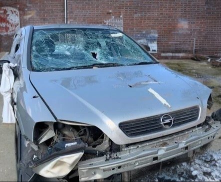 Ветеран Бандеропес tweet media