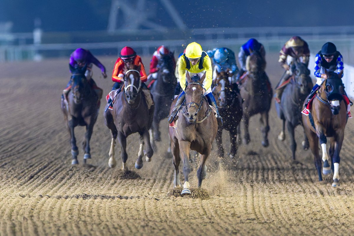 RacingDubai's tweet image. What a night for @gainsboroughHQ!

🥇 Quddwah
🥇 Meydaan
🥇 Title Role

#SuperSaturday | @emirates