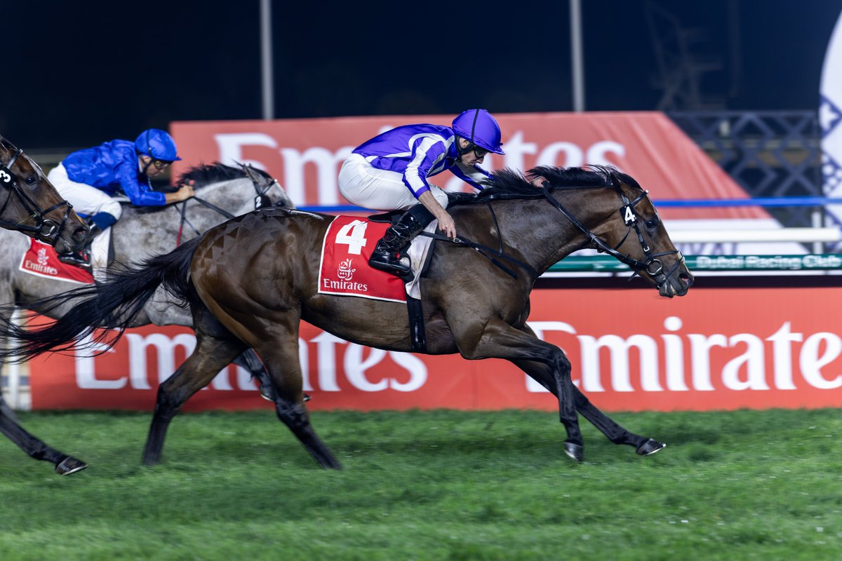 RacingDubai's tweet image. What a night for @gainsboroughHQ!

🥇 Quddwah
🥇 Meydaan
🥇 Title Role

#SuperSaturday | @emirates