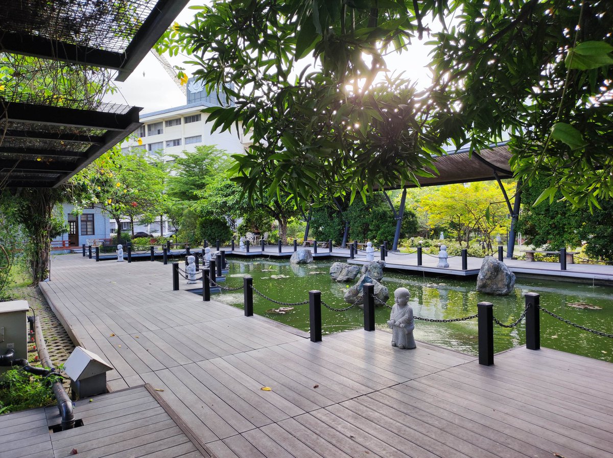 Skippy 🐕 tweet media