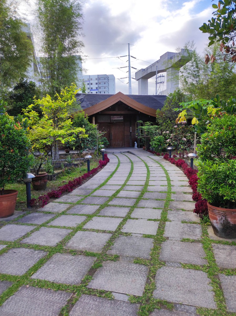 Skippy 🐕 tweet media