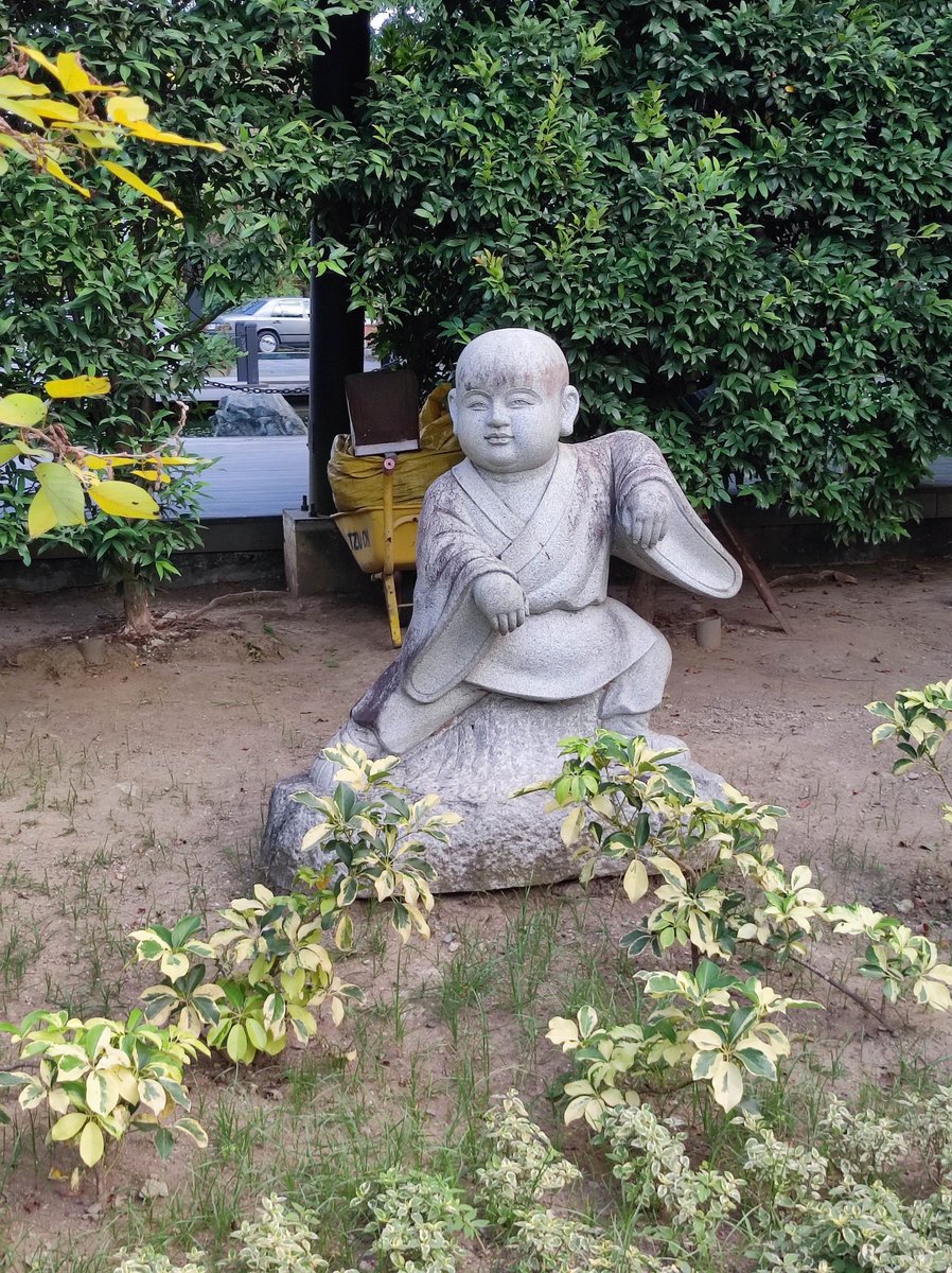 Skippy 🐕 tweet media