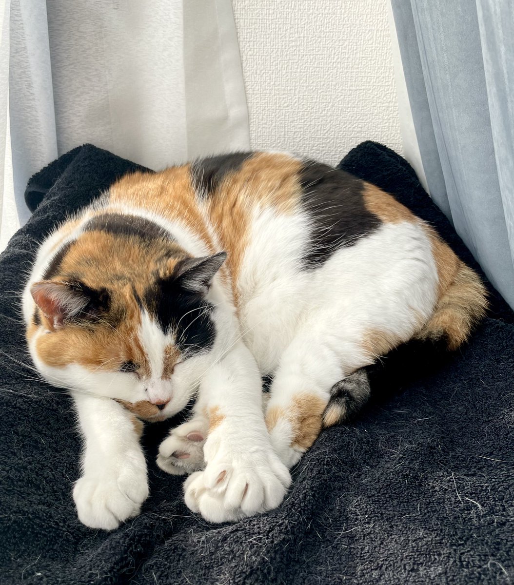 こんな日が、ずっと続けばいいのにな