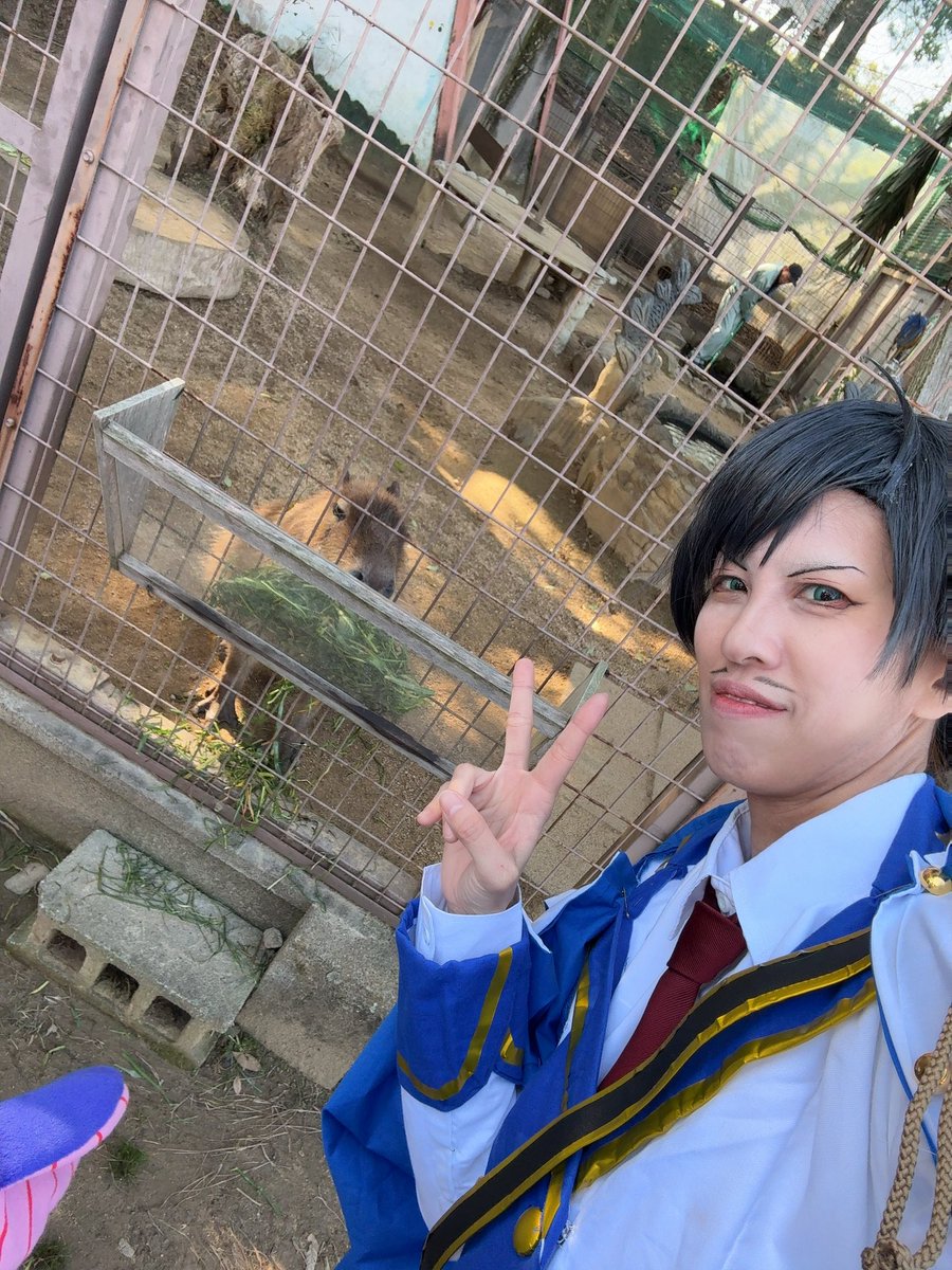 カピバラと写真撮った！ #CPひめSub2026 #ひめじSubかる