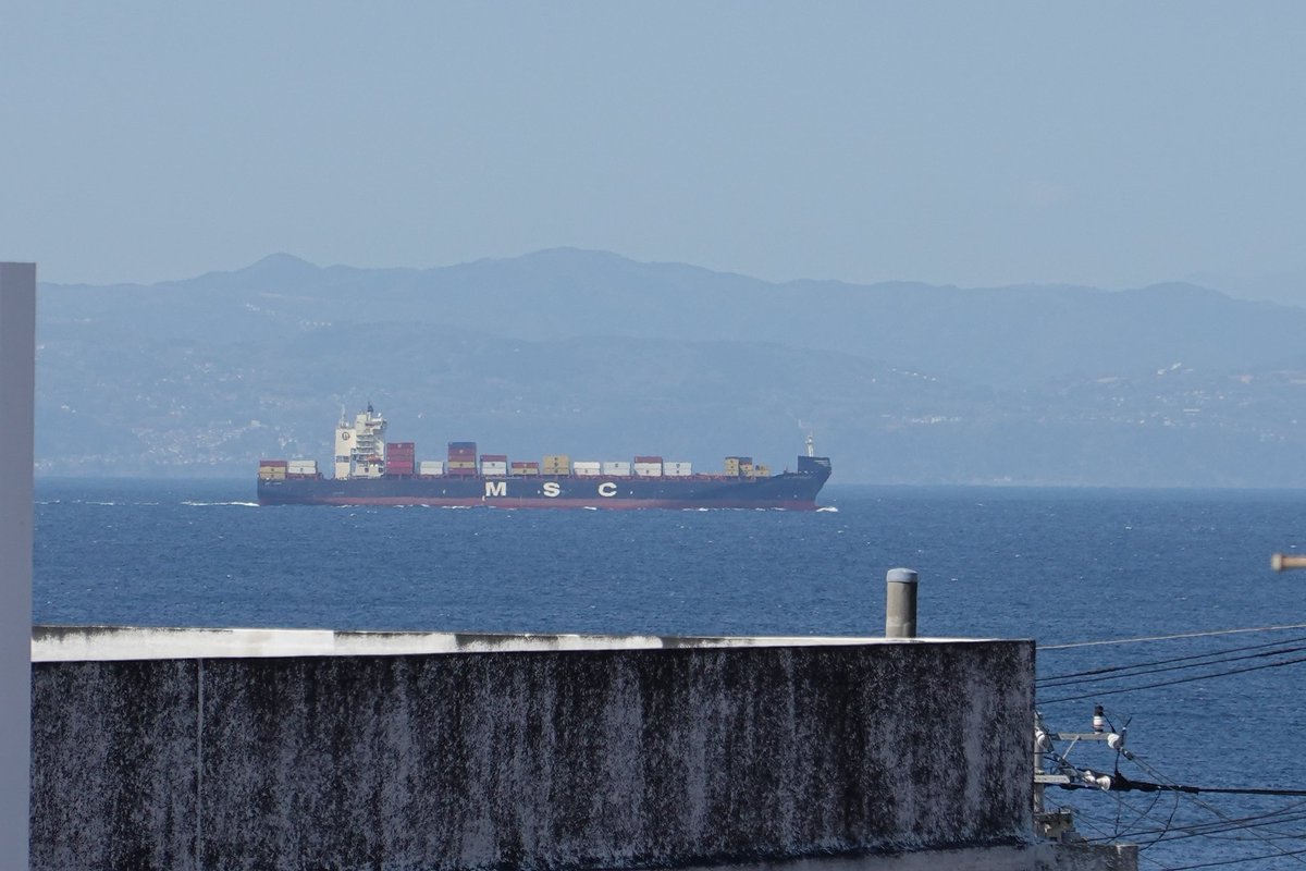 🟣 (@jg51744992) / Posts / X