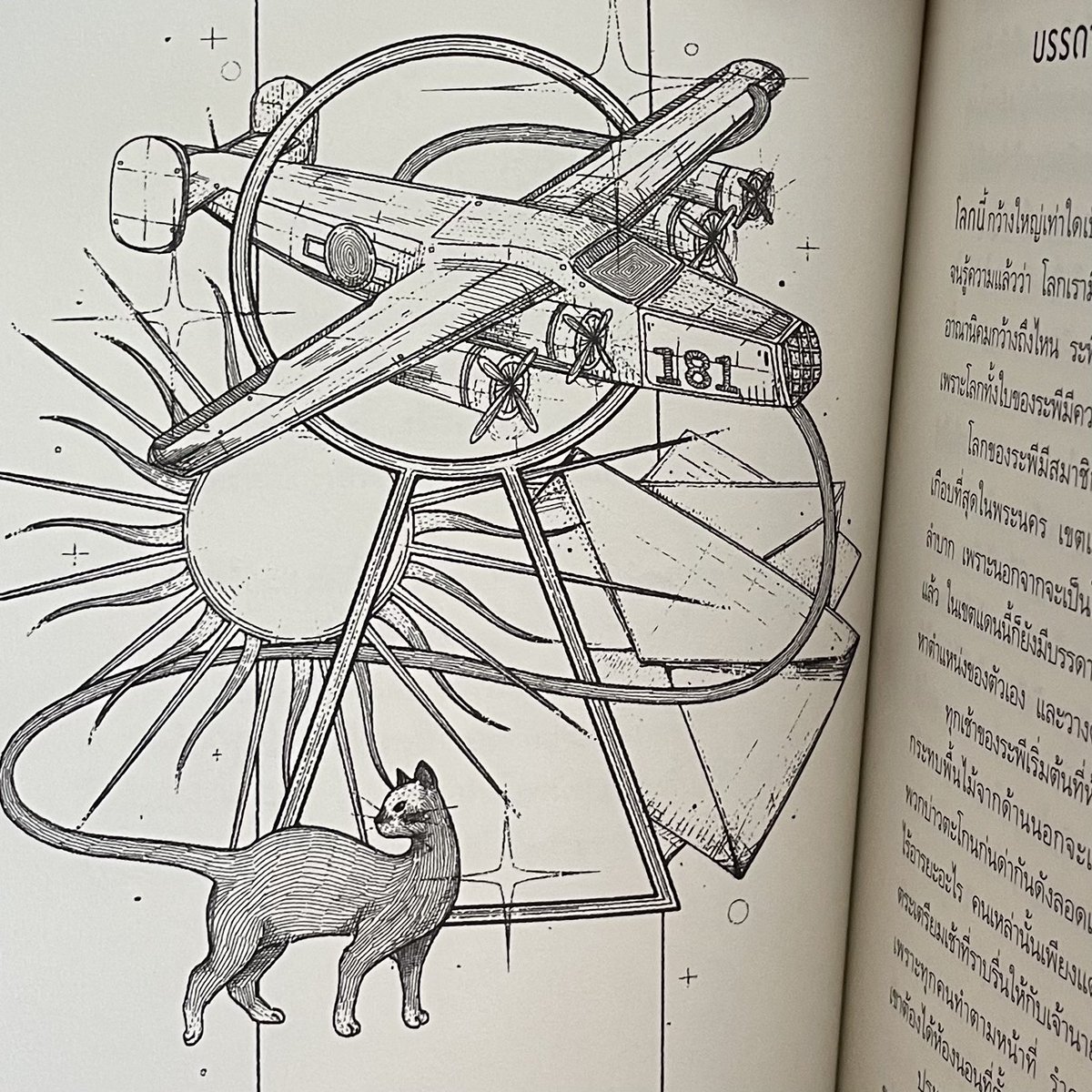 CHICHII (ชิชิ) tweet media