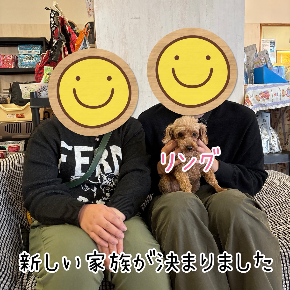 🌟新しい家族が決まりました🌟 トイプードルのリングちゃん💍 卒業しま
