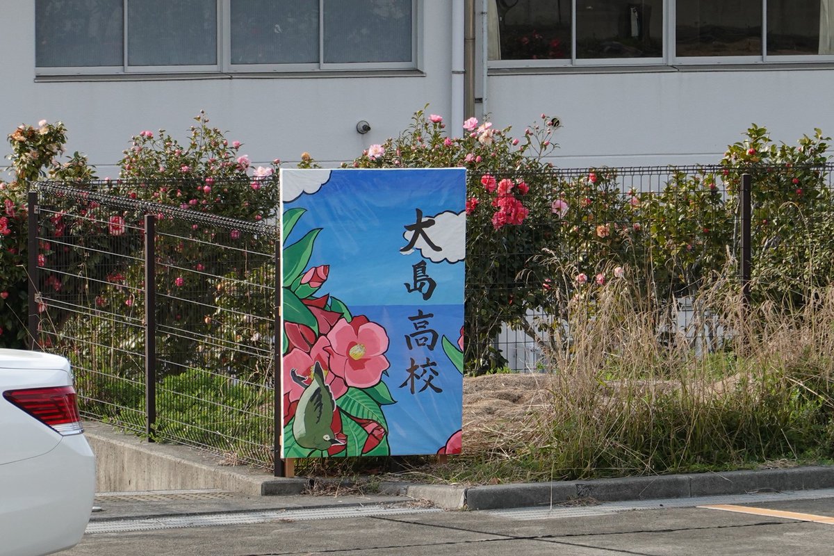 🟣 (@jg51744992) / Posts / X