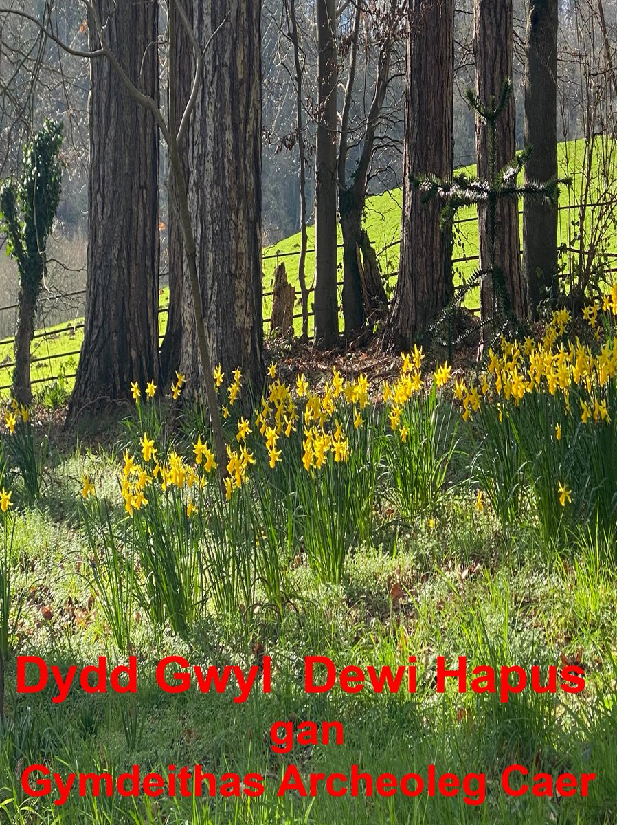 ChesterArchSoc tweet media