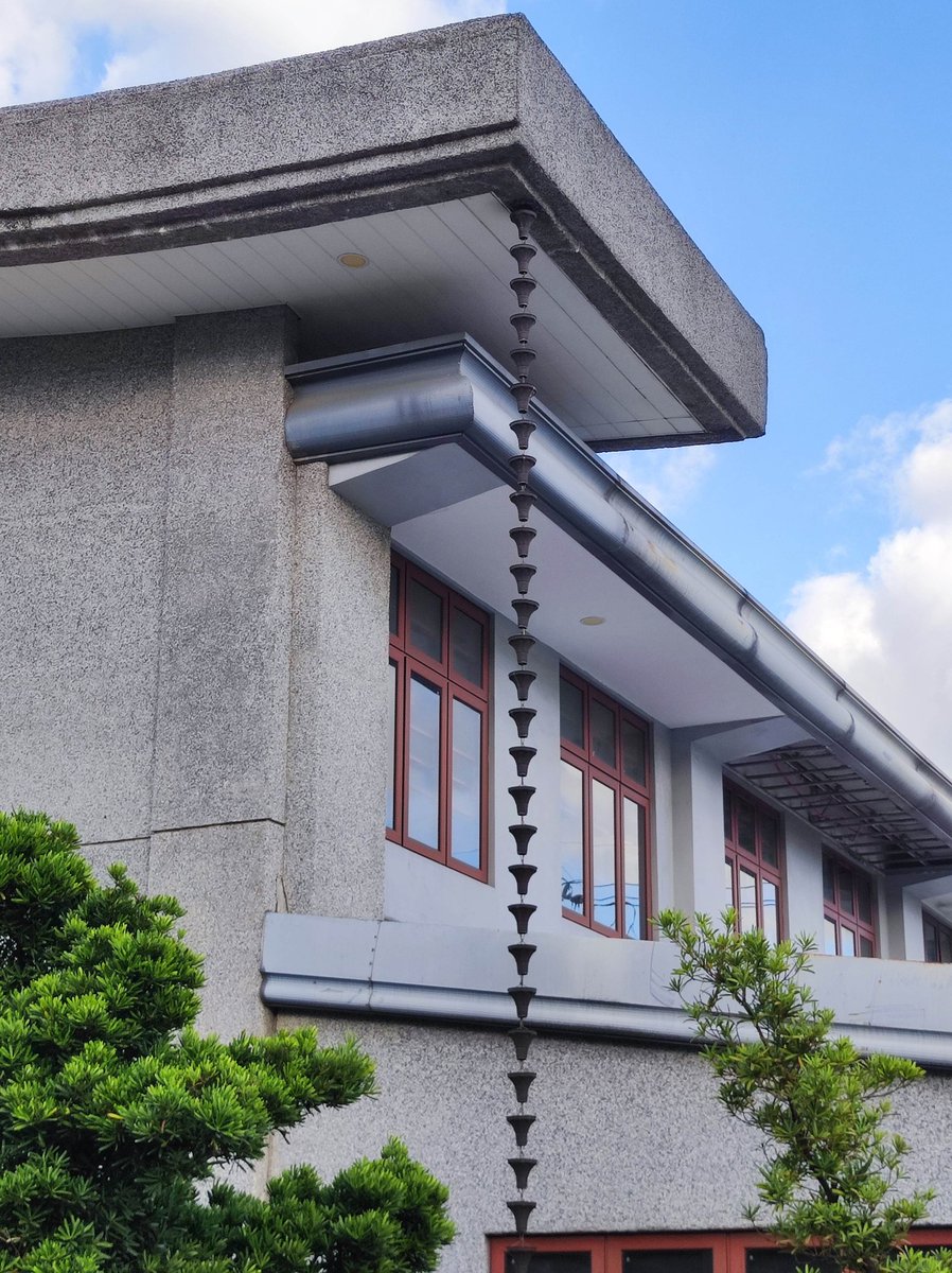 Skippy 🐕 tweet media