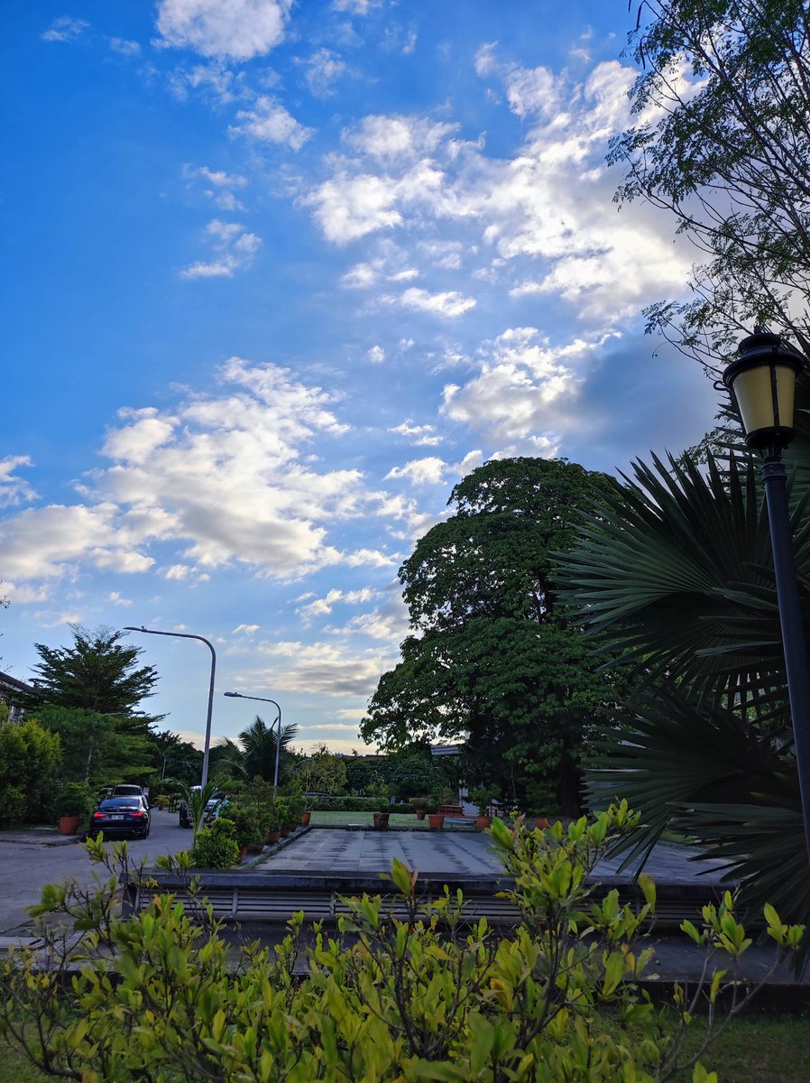 Skippy 🐕 tweet media