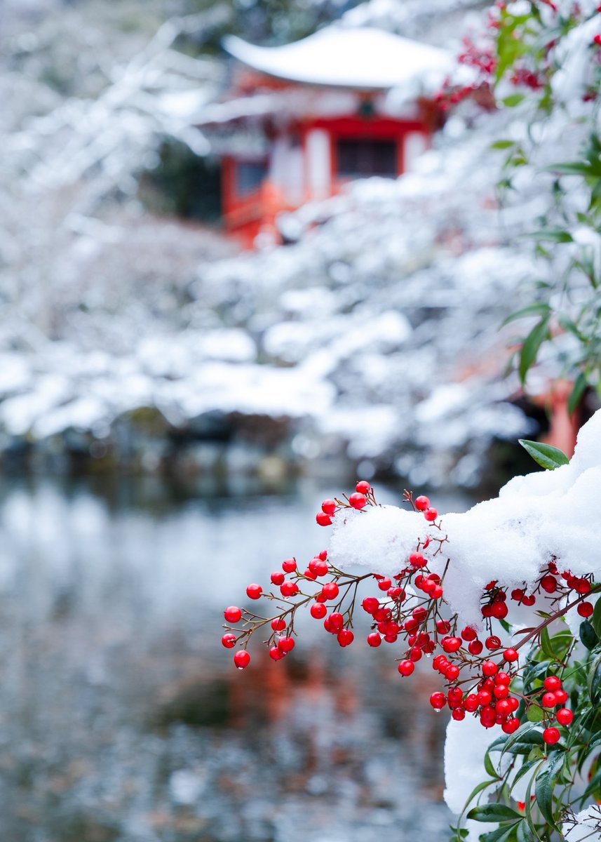 京都の冬景色
　醍醐寺
#京都よきかな 
#京都の風景 
#京都の四季