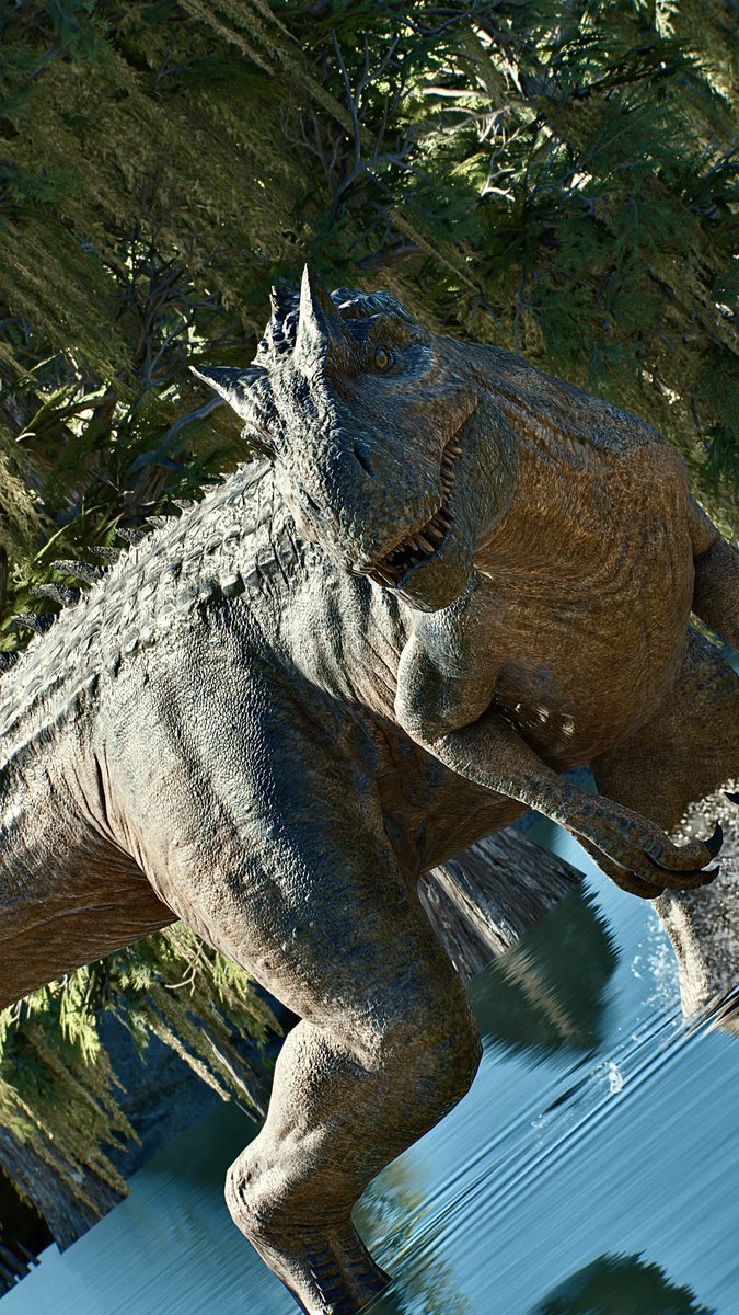 📸－FIRST－📸 tweet media