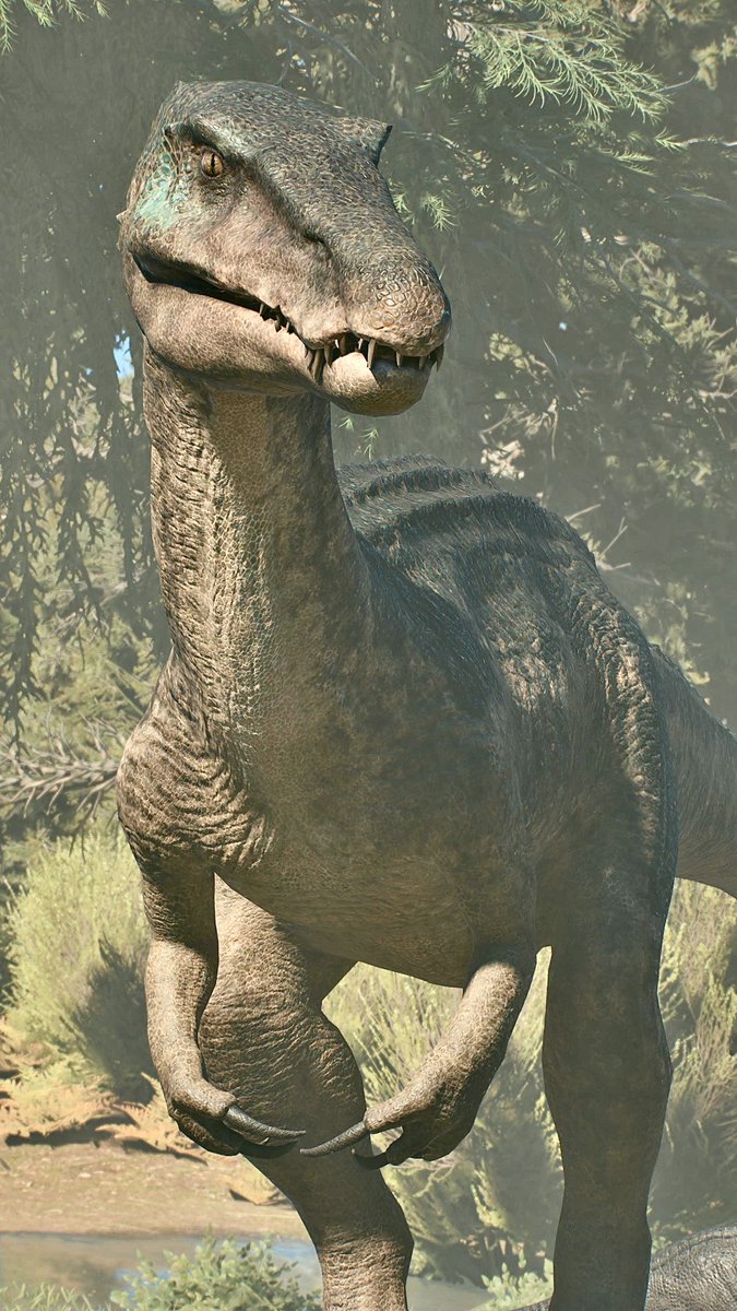 📸－FIRST－📸 tweet media