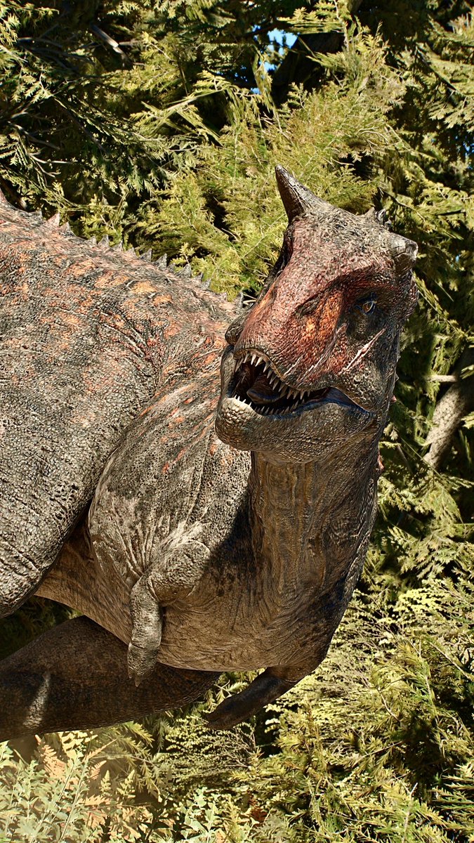 📸－FIRST－📸 tweet media