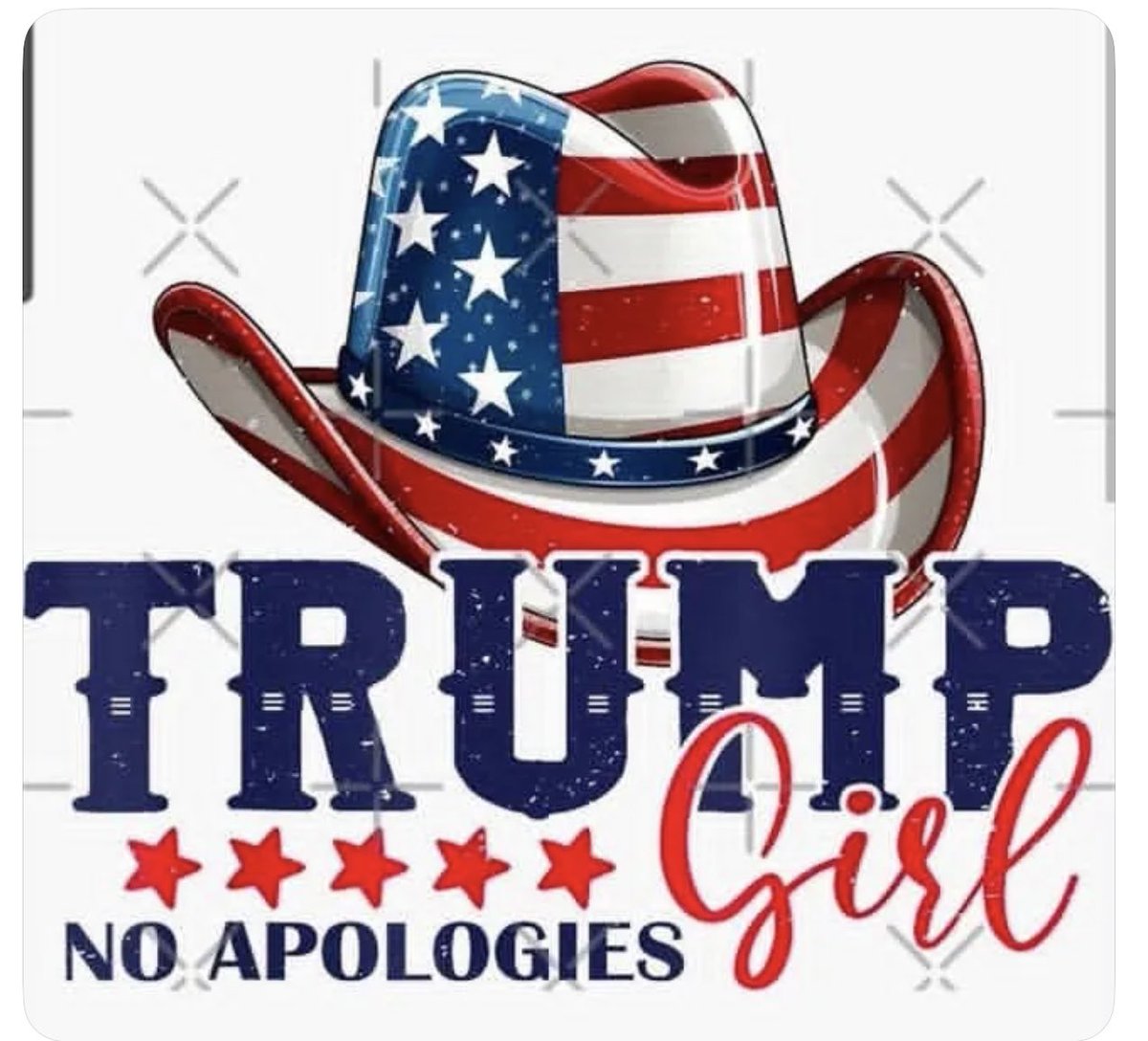 SadieRoseMarie's tweet photo. I don’t know who created this, but I wholeheartedly agree!🙌🏻❣️🇺🇸 https://t.co/CkEunGEXdB